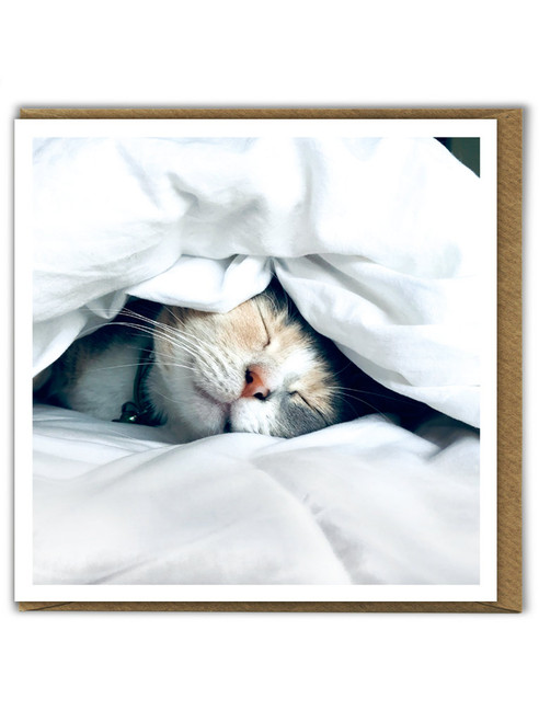 Funny Cat Birthday Card Sleeping Kitten