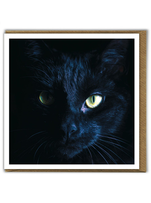 Cat Birthday Card Black Cat