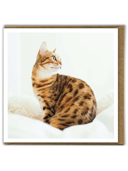 Cat Birthday Card Leopard