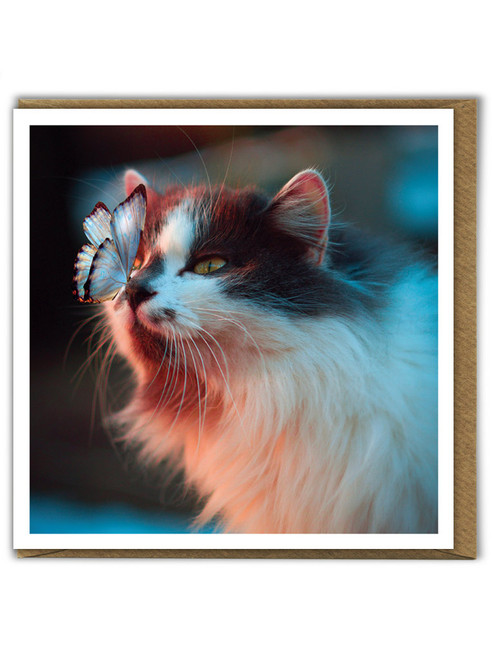 Cute Cat Birthday Card Butterfly