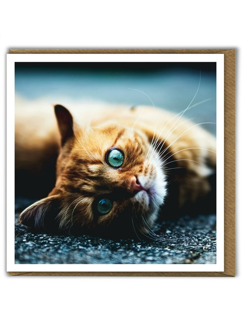 Cute Cat Birthday Card Ginger Tom