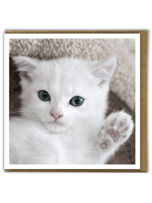 Funny Cat Birthday Card Waving Kitten