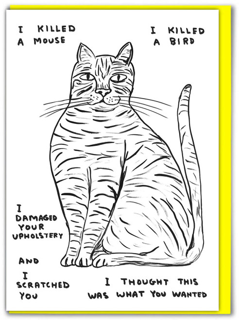 Funny Birthday Card I Killed A Mouse By David Shrigley