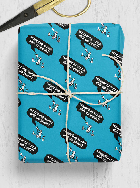 Rude Gift Wrap - Drive-By Poo Wrapping Paper By Modern Toss
