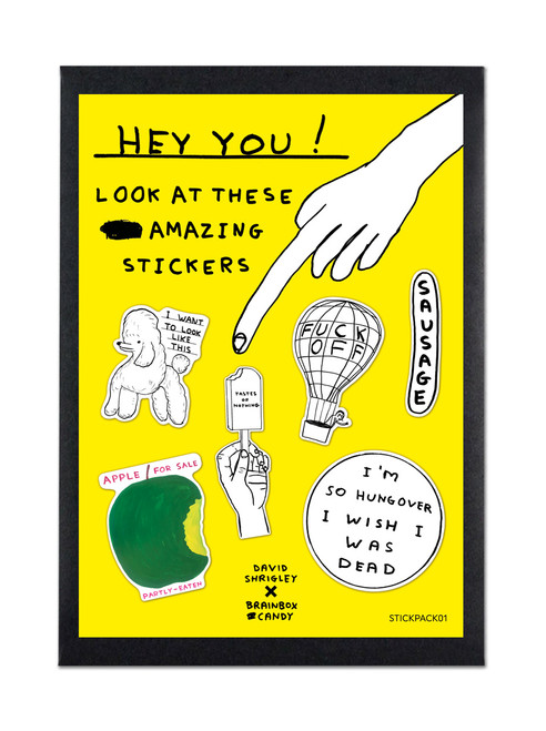 Funny Set of 6 Vinyl Stickers (Set 1) By David Shrigley