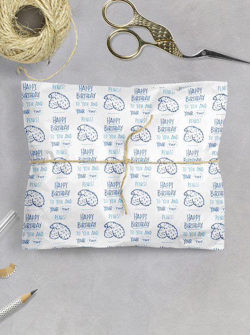 Rude Gift Wrap - Birthday Tiny Penis Wrapping Paper By Brainbox Candy