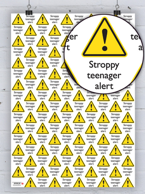 Funny Gift Wrap - Stroppy Teenager Alert Wrapping Paper