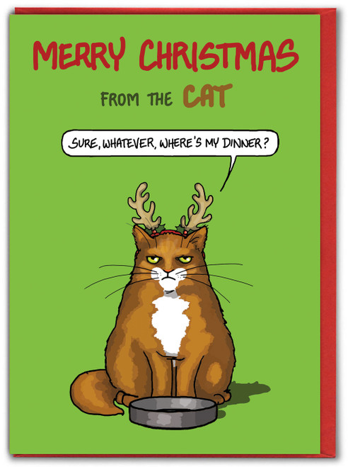 Funny Christmas Card - Merry Christmas From The Cat - Whatever By Bryony Walters