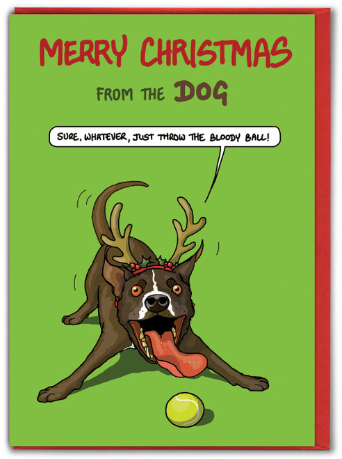 Funny Christmas Card - Merry Christmas From The Dog By Bryony Walters