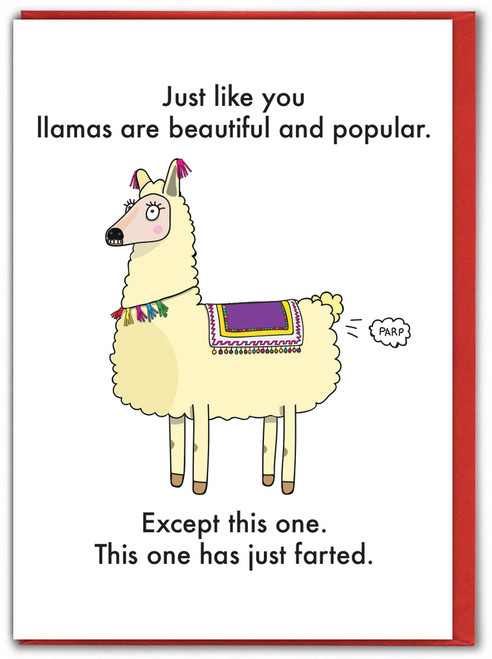 Funny Birthday Card Llama's Just Farted By Objectables