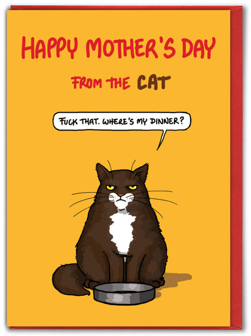 Rude Mother's Day Birthday Card Happy Mother's Day from the Cat By Bryony Walters