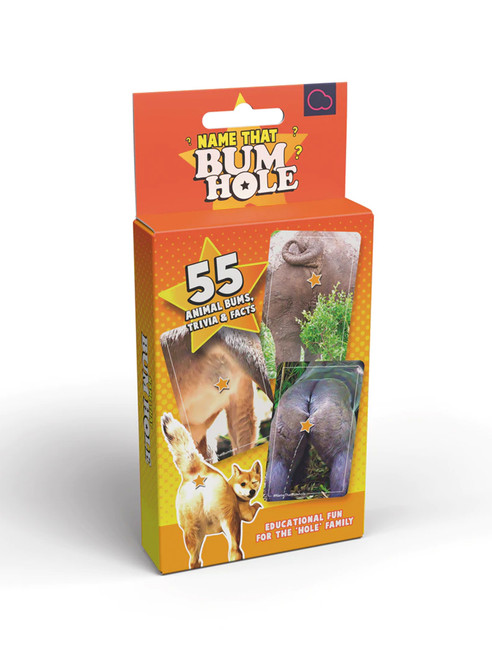 Funny Games - Name That Bumhole Flash Card Game By Bubblegum Stuff