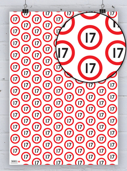 Age Gift Wrap - 17th Birthday Wrapping Paper (Warning)