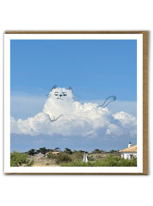 A Daily Cloud Photographic Funny Cat Birthday Card