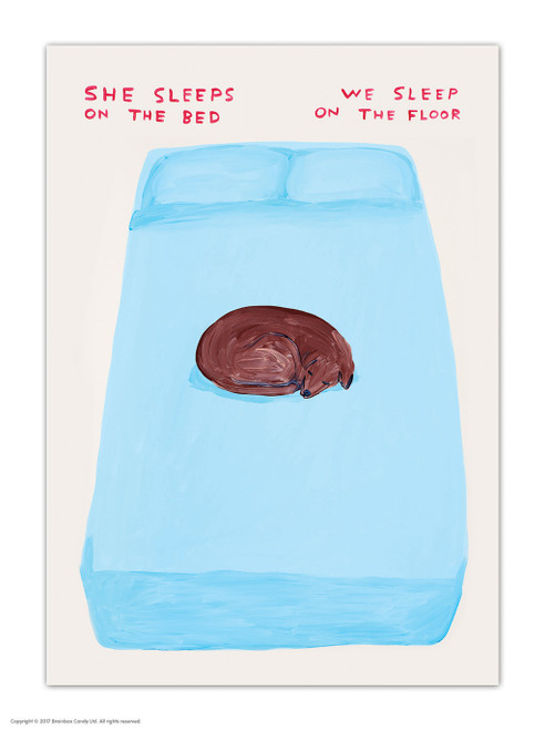 She Sleeps On The Bed David Shrigley Postcard