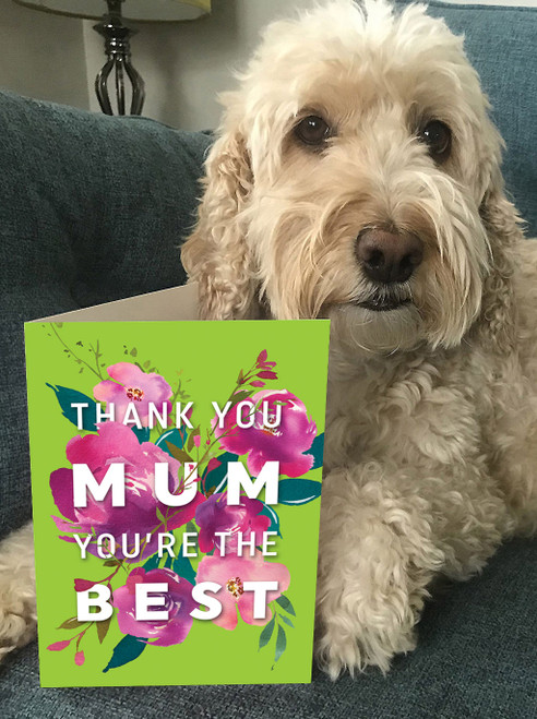 Funny Mother's Day Card Thank You Mum By Brainbox Candy