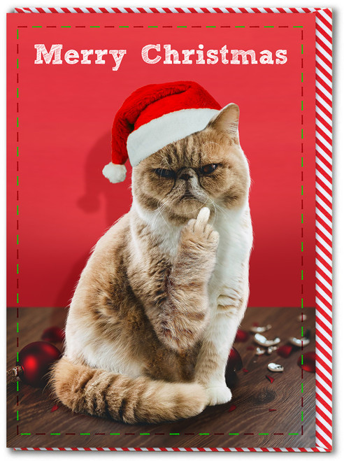 Rude Christmas Card - Cat Finger