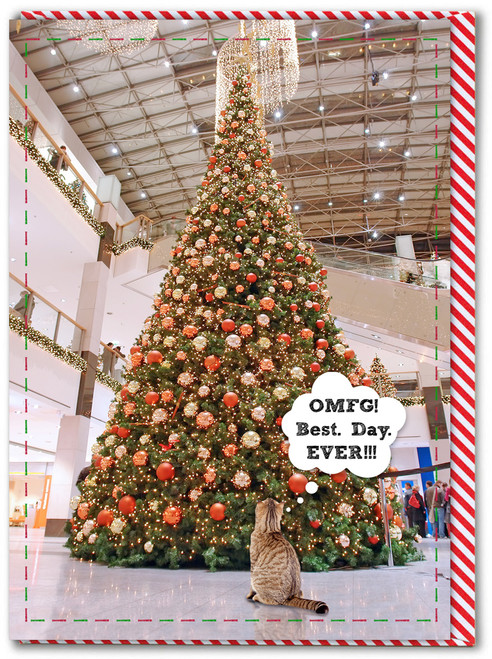 Funny Christmas Card - OMFG Best Day Ever