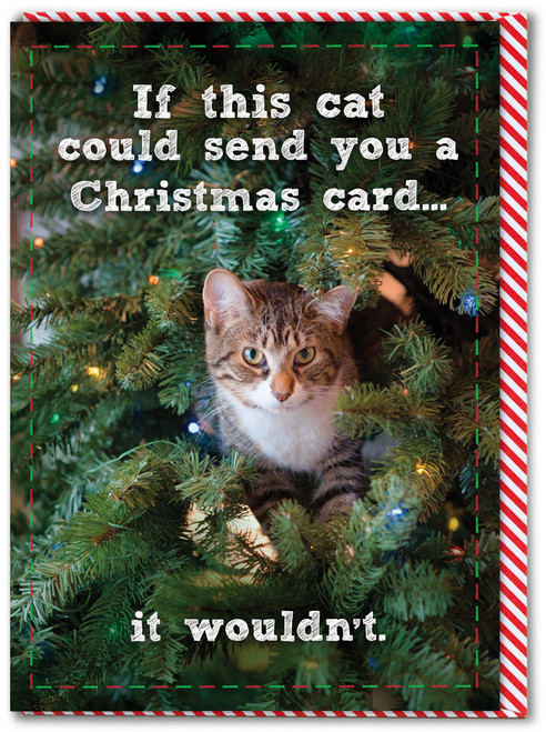 Funny Christmas Card - If This Cat Christmas Card By Brainbox Candy