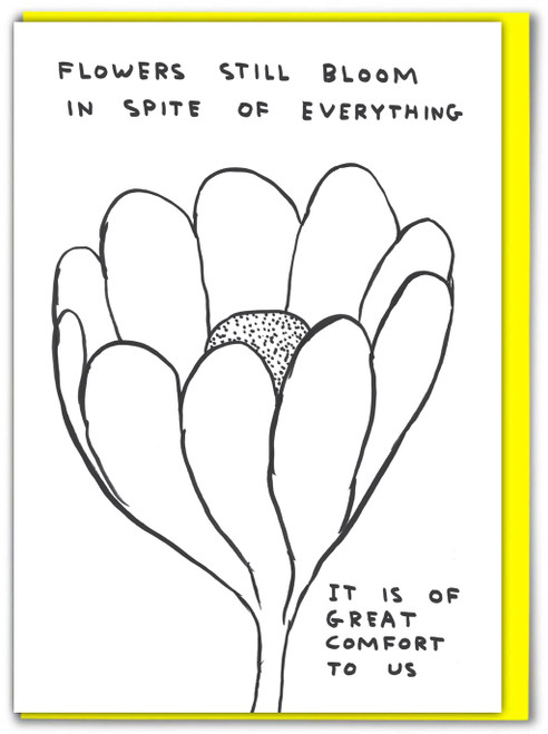 Funny David Shrigley Flowers Still Bloom Thinking Of You Thinking Of You Card