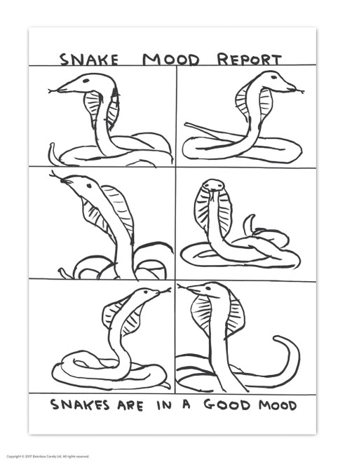 Snake Mood Report David Shrigley Postcard
