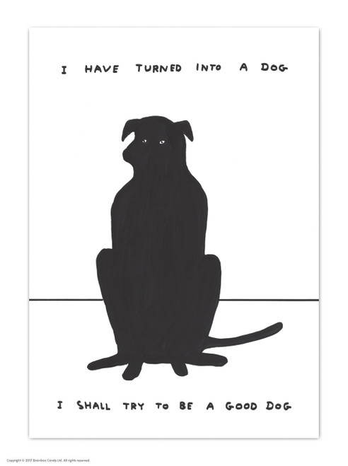 Turned Into A Dog David Shrigley Postcard