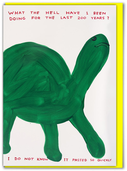 Funny What The Hell Have I Been Doing Birthday Card By David Shrigley