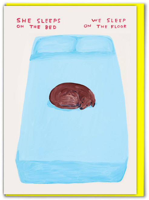 Funny Birthday Card She Sleeps On The Bed By David Shrigley