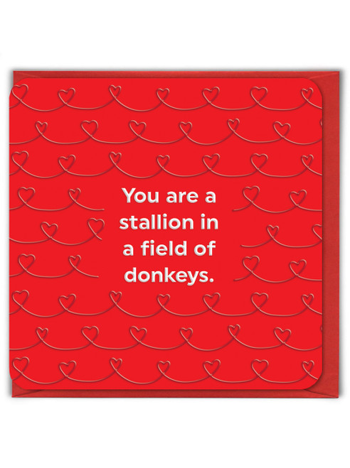 Funny Embossed Valentine’s Day Card Stallion In A Field Of Donkeys
