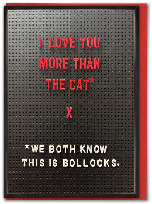 Funny Valentine's Day Card Love You More Than Cat