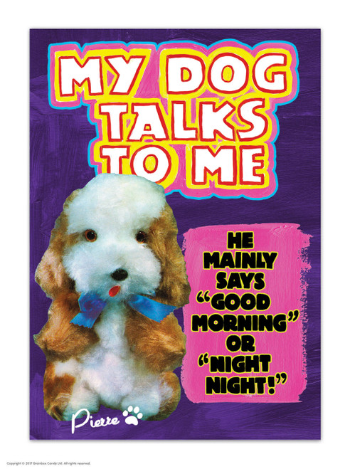Funny Postcard My Dog Talks To Me By Magda Archer