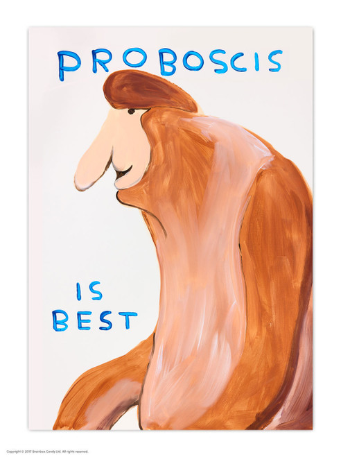 Funny Proboscis Postcard By David Shrigley