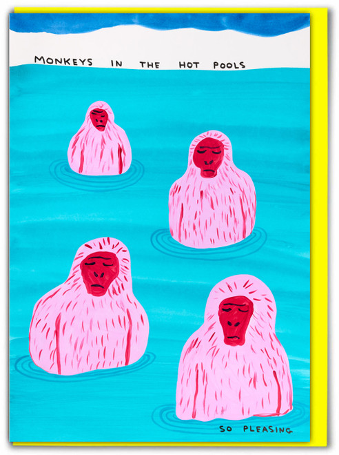 Funny Monkeys In Pool Birthday Card By David Shrigley