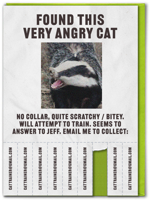 Funny Very Angry Cat Birthday Card