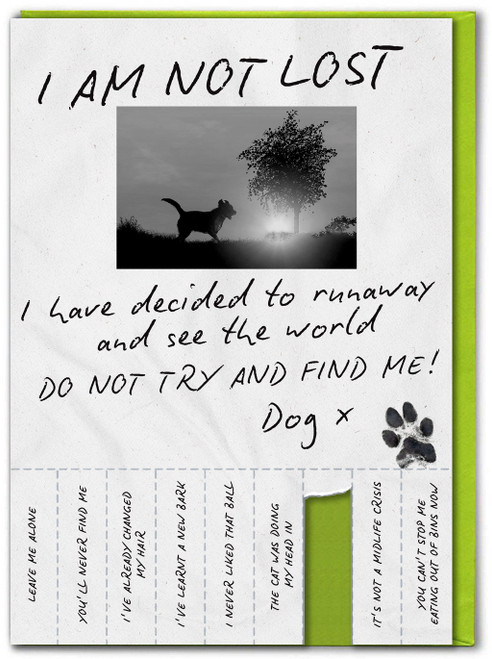 Funny Not Lost Dog Birthday Card