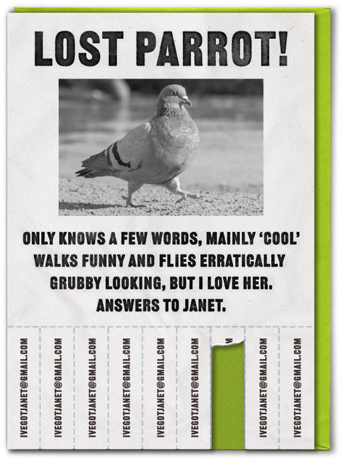Funny Lost Parrot Birthday Card By Brainbox Candy