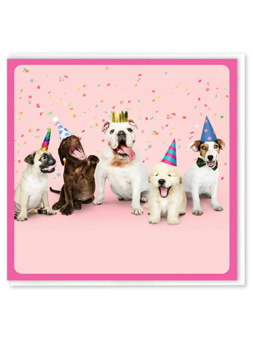 Funny Birthday Card - Dog Party By Brainbox Candy