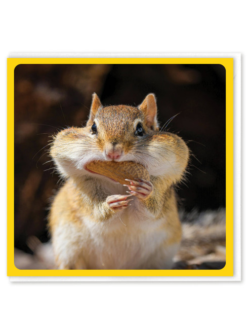 Funny Birthday Card - Peanut Cheeks By Brainbox Candy