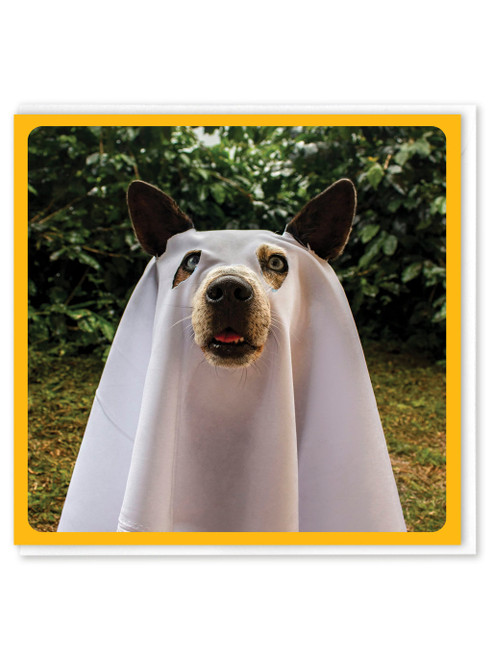 Funny Birthday Card - Ghost Dog By Brainbox Candy