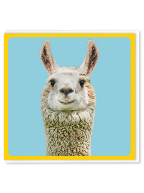 Funny Birthday Card - Alpaca By Brainbox Candy