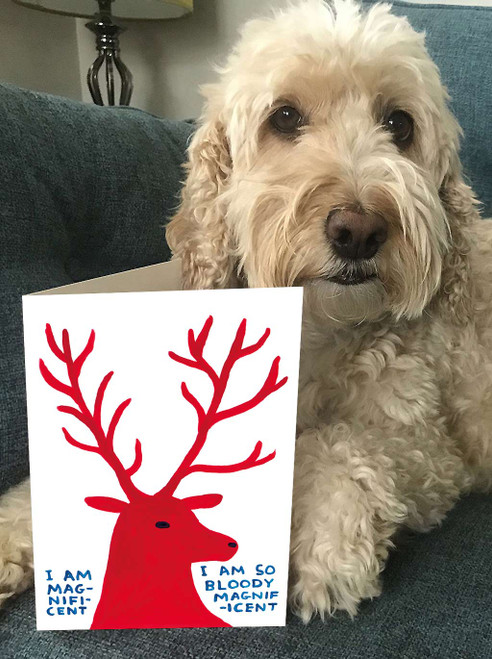 Funny I Am Magnificent Christmas Card By David Shrigley