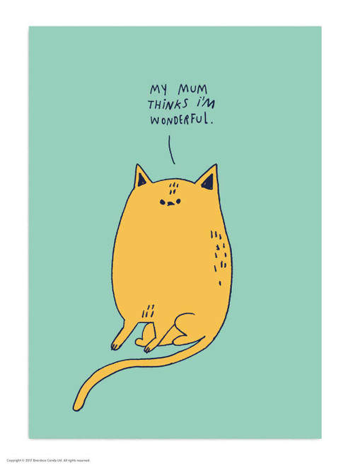 Funny Postcard Mum Thinks I'm Wonderful By Majasbok