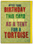 Funny Birthday Card Tortoise Tent By Brainbox Candy