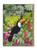 Funny Birthday Card Happy Toucan By Earlybird