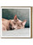 Cat Birthday Card Sofa Cat