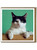 Cat Birthday Card Black and White Cat