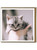 Cat Birthday Card Kitten Handful