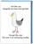 Funny Birthday Card Seagulls are Wankers By Objectables