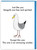 Rude Birthday Card Seagulls are Wankers By Objectables