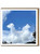A Daily Cloud Funny Dogs Photographic  Birthday Card